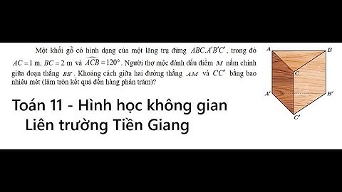 Liên trường Tiền Giang: Một khối gỗ có hình dạng của một lăng trụ đứng .ABC A