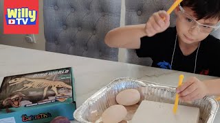 Dino World Excavation Kit and Dinosaur Eggs - Jurassic Park Toy Review - Willy TV