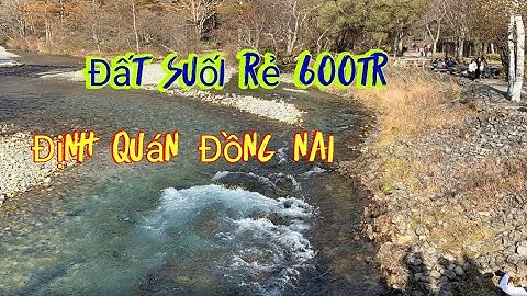 ✅Td330 ( Đã Bán) Đất suối nghỉ dưỡng giá rẻ Chỉ 600tr là có miếng suối đẹp.