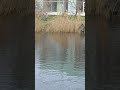 30 декабря 2023 г.