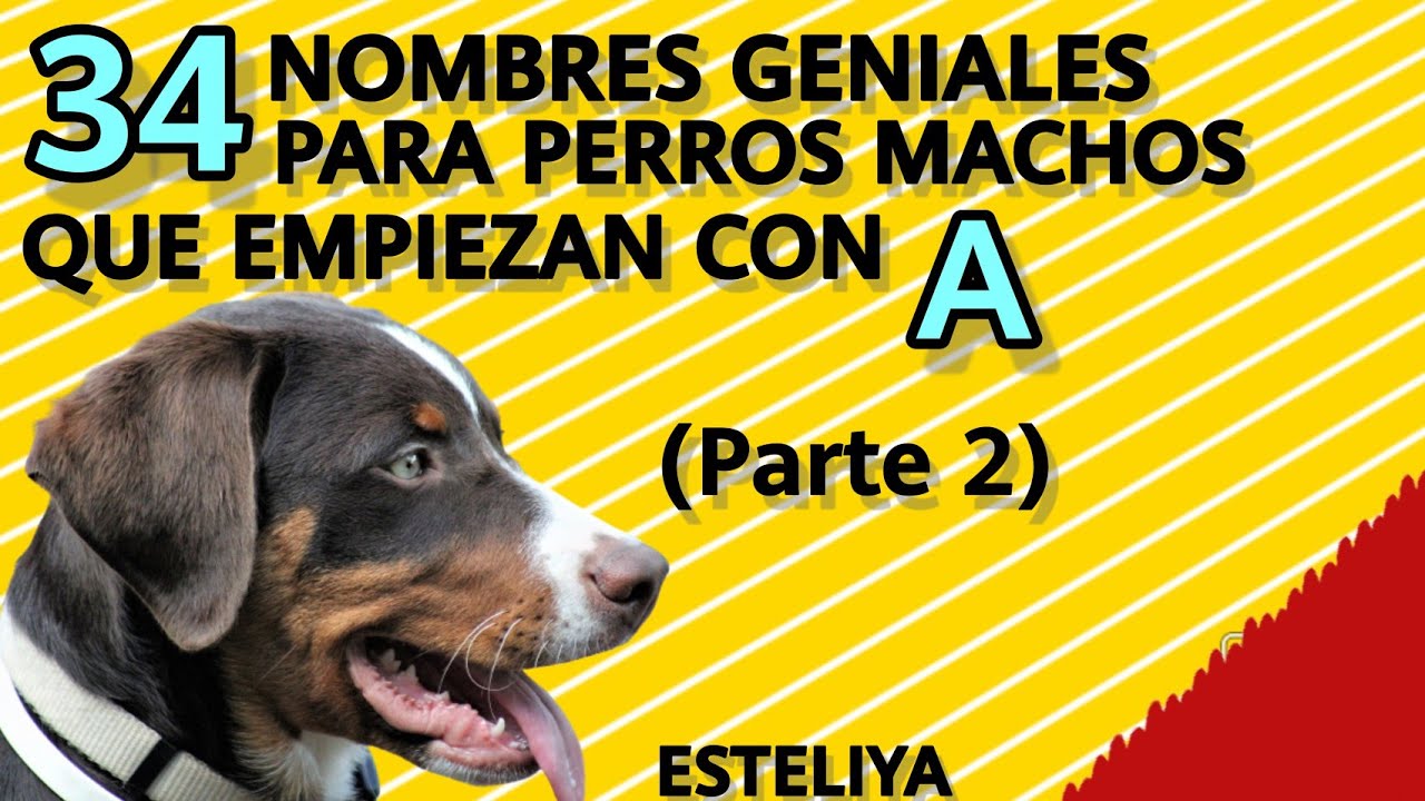 Más de 1000 nombres para perros