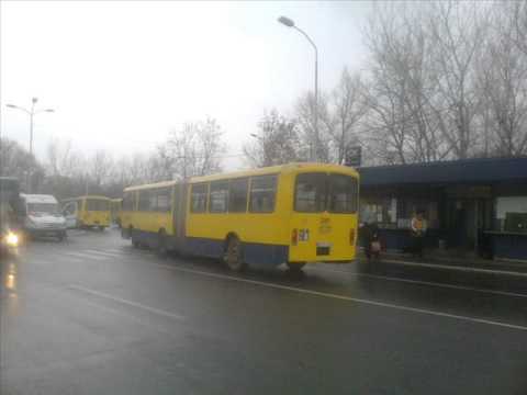 Ikarus Zemun - IK 161 - GSP Beograd GB 341
