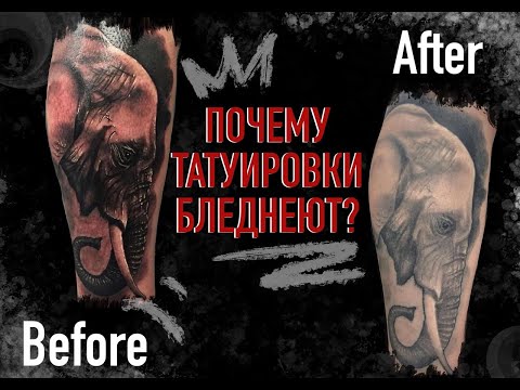 Почему татуировка бледнеет/синеет/выцветает???