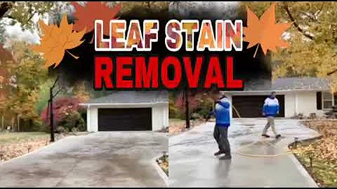 Leaf Stain Soft Wash Cleaning