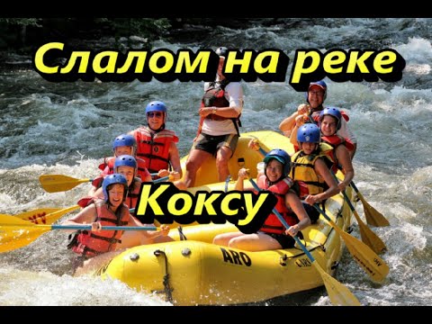 Слалом на машине