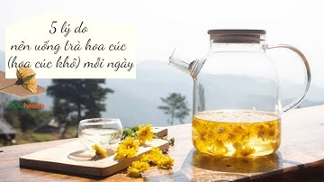 5 lý do nên uống trà hoa cúc (hoa cúc khô) mỗi ngày