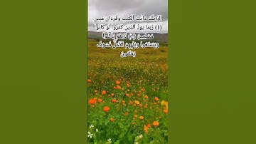 #القرآن_الكريم #ياسر_الدوسري #أيات_قرأنية بداية سورة الحجر
