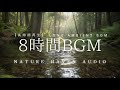 Relaxing Forest Ambience (8H) | Pond Ripples, Birds & Peaceful Nature