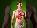I Ate An Apple Every Day For A Month #scienceexplained #3dmedicalanimation #shorts #viralshorts