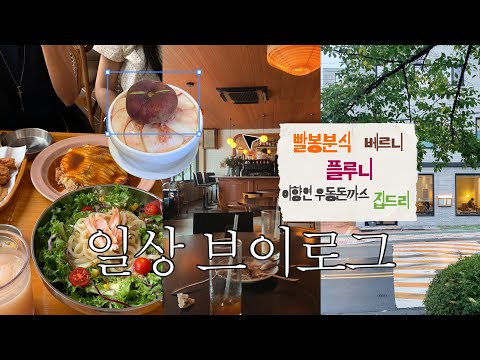 떡볶이도 먹고 납작복숭아 빙수도 먹었다 크크크 ••🍑좋아하는 사람들과 함께하는 일상 브이로그🍃빨봉분식/베르니/플루니/이향연우동돈까스/집드리