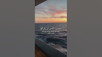 ( احسب الناس ان يتركوا ان يقولوا امنا وهم لا يفتنون )   تلاوة مميزة للقارئ عبدالرحمن مسعد