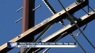Carmel Valley residents to fight SDG&E plan to take down trees