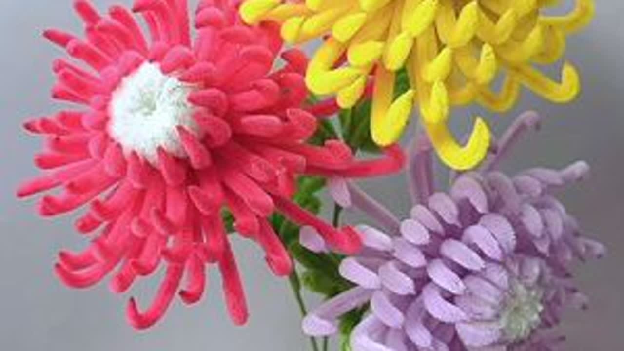 中华菊教程来啦#扭扭棒 #扭扭棒的100种玩法 #爱手工爱生活 #手工diy #手工制作