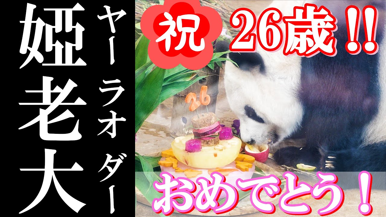 祝🎉26歳】若々しさ全開！この見た目で26歳とはなにごと⁉ 娅老大ママ