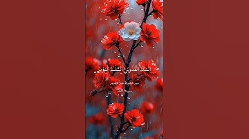 سورة الحشر | الملك القدوس السلام المؤمن | عبدالباسط عبدالصمد