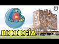 GUÍA BIOLOGÍA UNAM (Preguntas) 1. LA CÉLULA