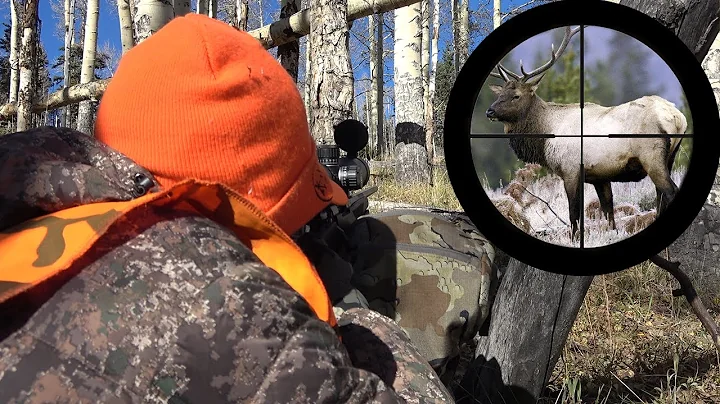 MY FIRST EVER ELK HUNT! 2021 COLORADO DIY ELK HUNT