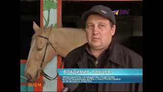 Больше, чем прием врача: больные дети могут пройти в Сочи иппотерапию Больше, чем прием врача: больные дети могут пройти в Сочи иппотерапию