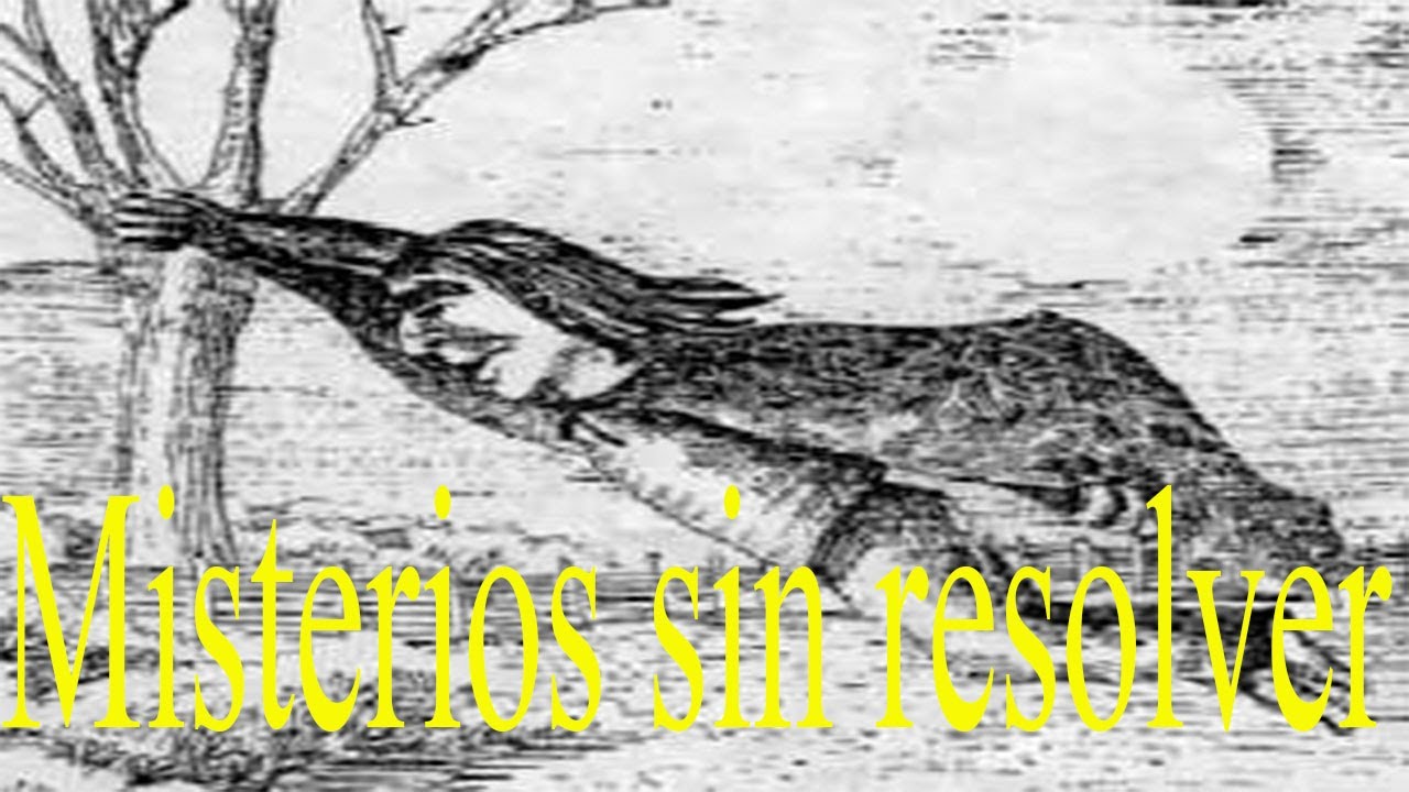 Los misterios de Chile que siguen sin resolver junto a Mauri - YouTube