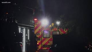 Tree kills 63-year-old woman after falling into home