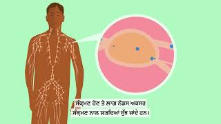 What is cancer? (Punjabi) | ਕੈਂਸਰ ਕੀ ਹੁੰਦਾ ਹੈ? (ਪੰਜਾਬੀ) | Macmillan Cancer Support