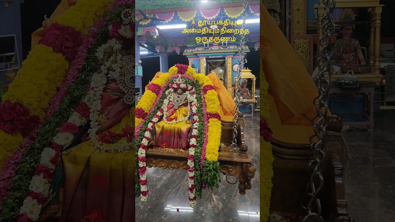 Peaceful Temple Vibes | Tamil Nadu | Spiritual Short 🔱 