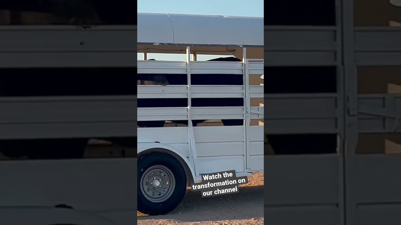 Верхний прицеп для скота Fixer 