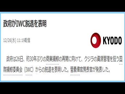 正式退群！日官房長菅義偉宣布日本退出國際捕鯨委員會