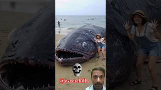 #shark #marriagecentre #fishing