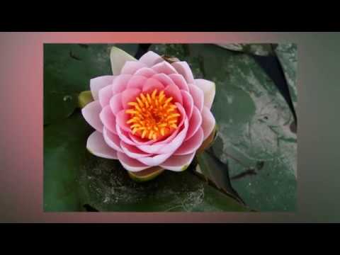 Video KINH LĂNG NGHIÊM - MP3 - youtube