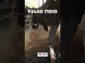 Cow Comfort Mat – Increase Milk Yield Fast! 🐄✨ #shorts