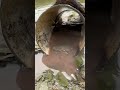 🔥 Невероятный улов на рыбалке