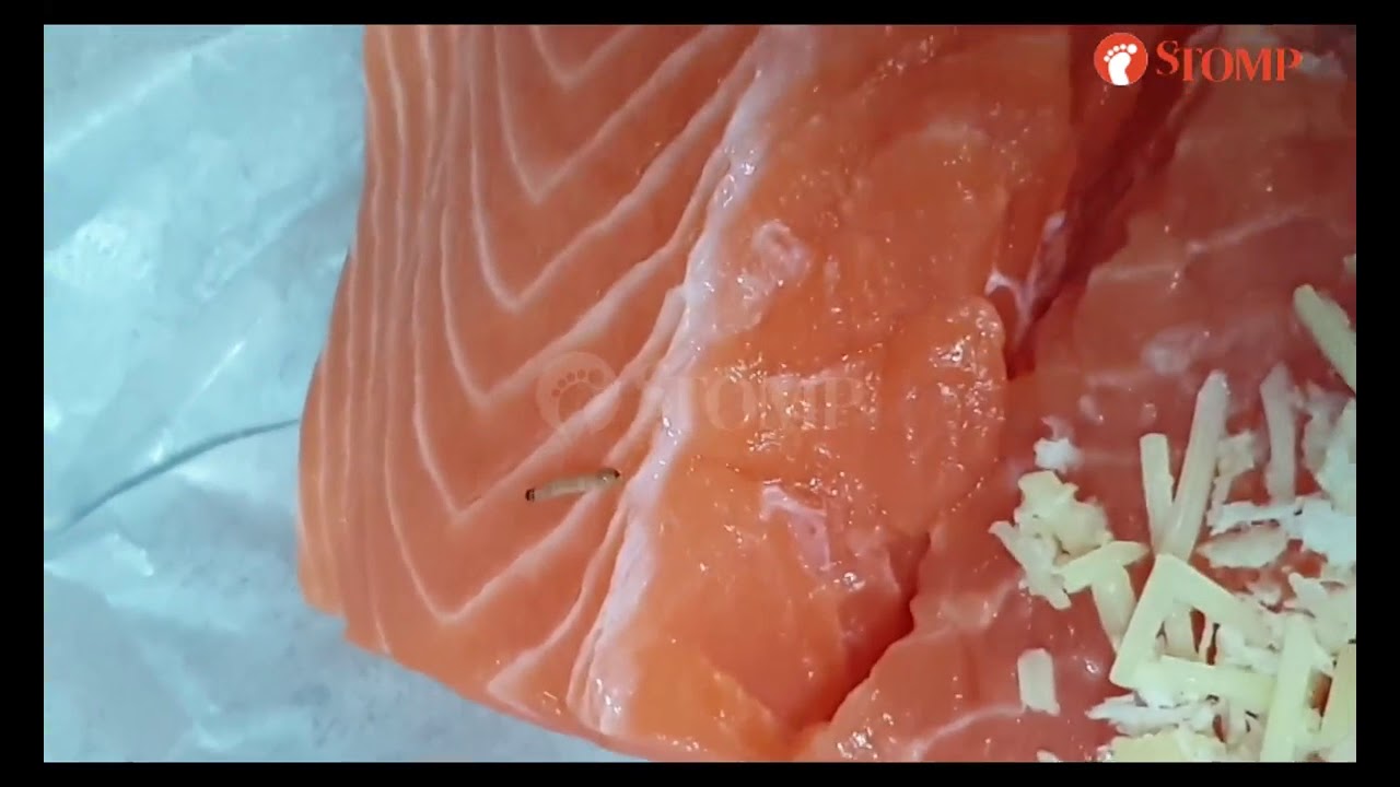 NTUC FairPrice apologises for worm found on salmon fillet, no anomalies