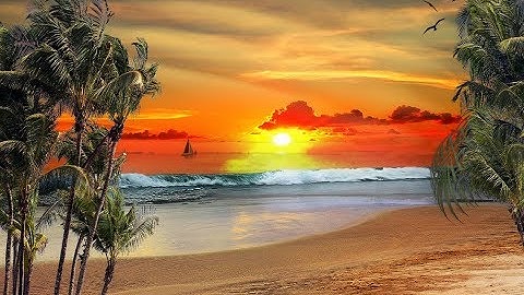 Jan Mulder Sailing Sunny Seas