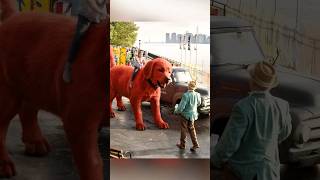 Red Dogs Thrilling Chase Through City Streets