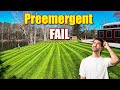 Is your lawn preemergent working