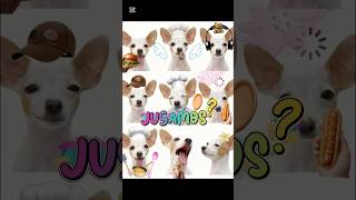 “Jugando con Lucy: Diversión y Aprendizaje para Niños” #juegosniños #aprenderjugando #mascotas