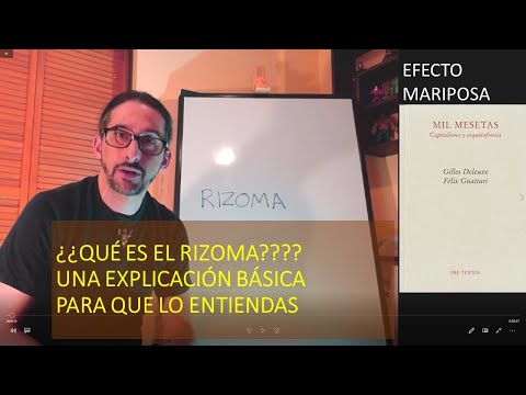 Vídeo: El Fenómeno Del Pensamiento Clip: Entre El Estereotipo Y El Rizoma - Vista Alternativa