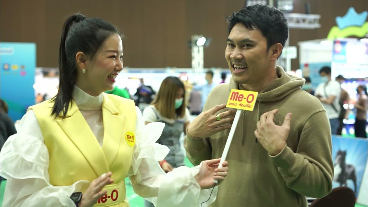 One Day Cat Grooming YouTube