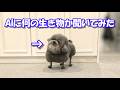 ウチの犬をAIに認識させた答えがこちらです。