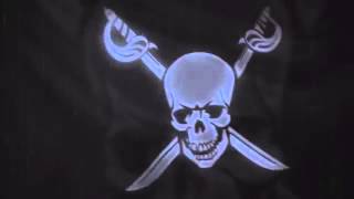Anonymous vs Finest & Lizard Squad Final