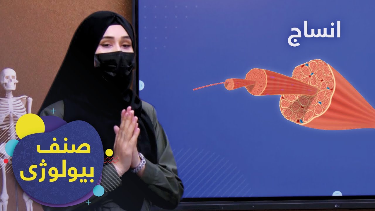 SENF - Biology Grade 7 - Episode 6 | صنف - بیولوژی صنف هفتم - درس ۶: انساج نباتی