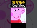 実写版のペッパピッグ
