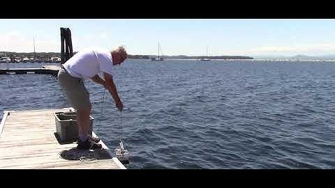 Sampling macroinvertebrates in soft-bottomed lake sediments.