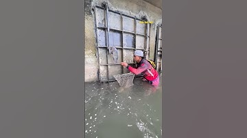 Cá Lớn - bắt Cá Rô Phi Khủng mắc kẹt 😱 #khacthuyvlogg