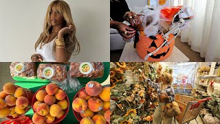 Famous Fall is Here | Making My Boo A “Boo Basket”, NEW Hair Color, Fall Decor Shopping, and MORE Wealth
