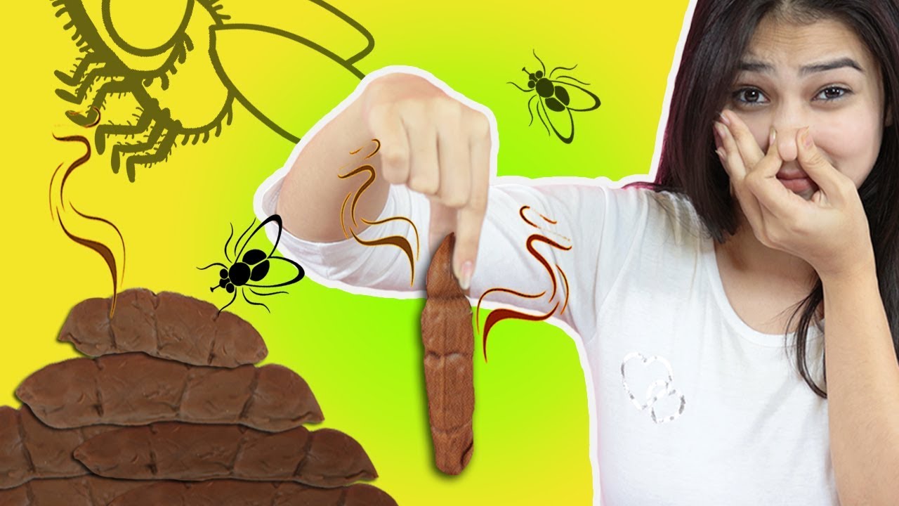 Poop making toy!! Good poop and bad poop?? Poo Dough!! Funny animation