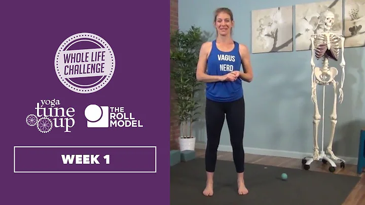 Jill Miller Follow Along Mobility Practice: Week 1
