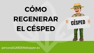 CÓMO REGENERAR EL CÉSPED. ESCARIFICAR EL CÉSPED