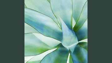 Pulsating Chillout Smooth Jazz - Vibe for Monday Work Breaks